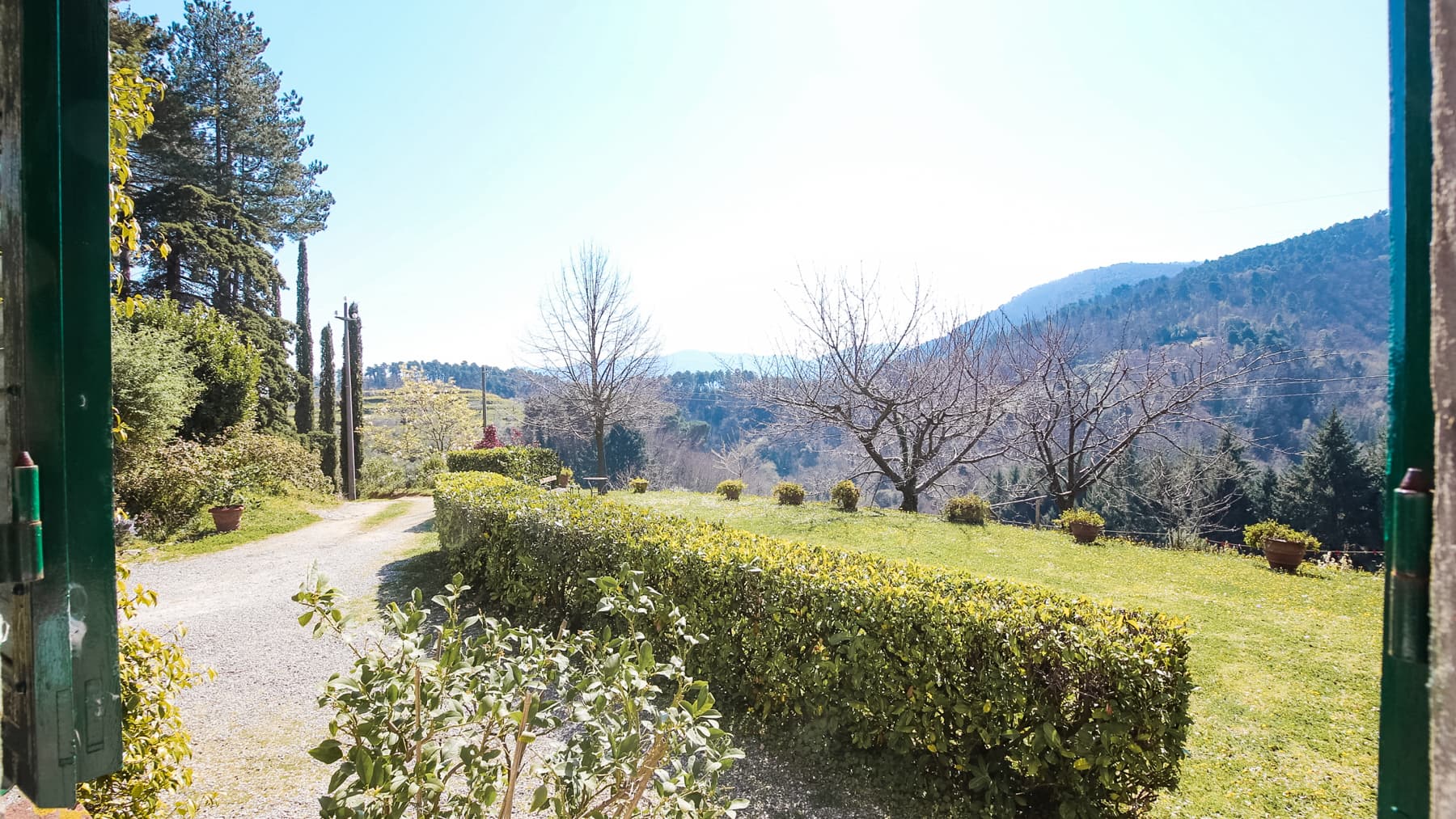 Big Image 15