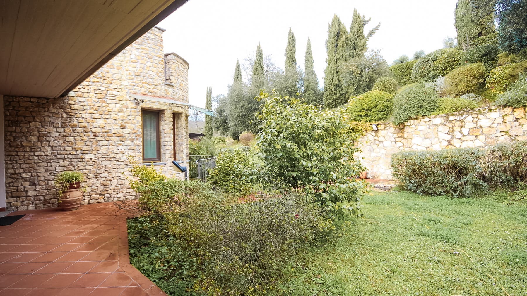 Big Image 11