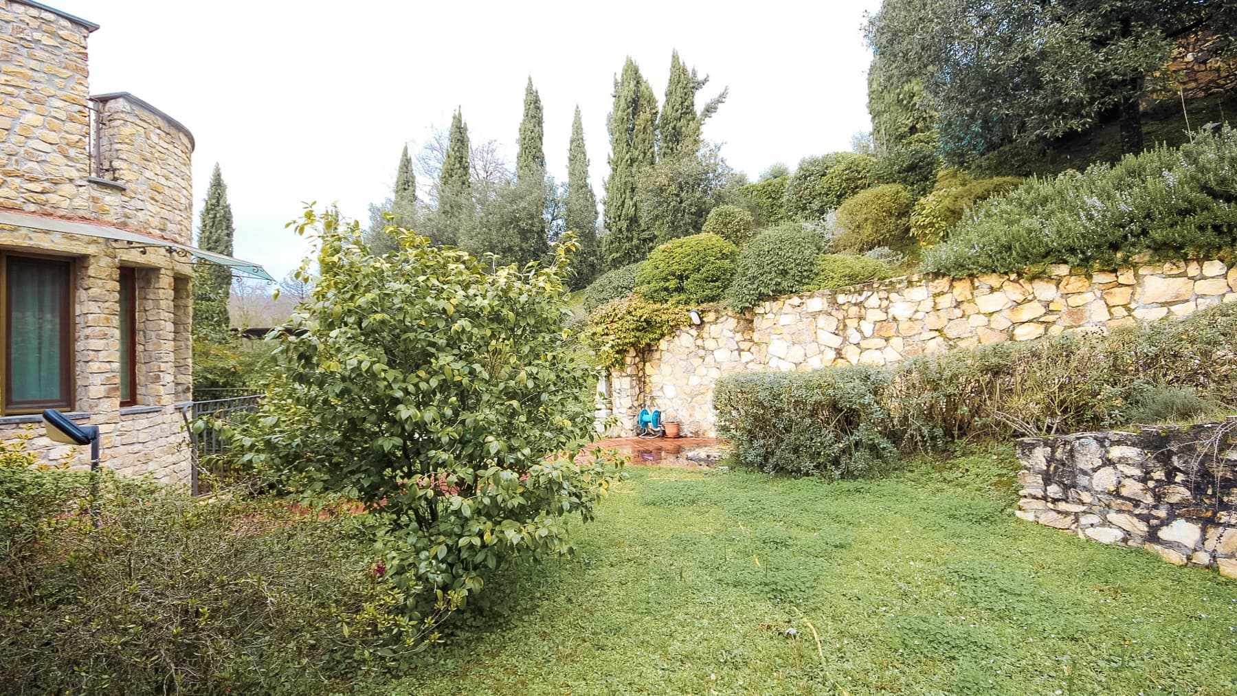 Big Image 12