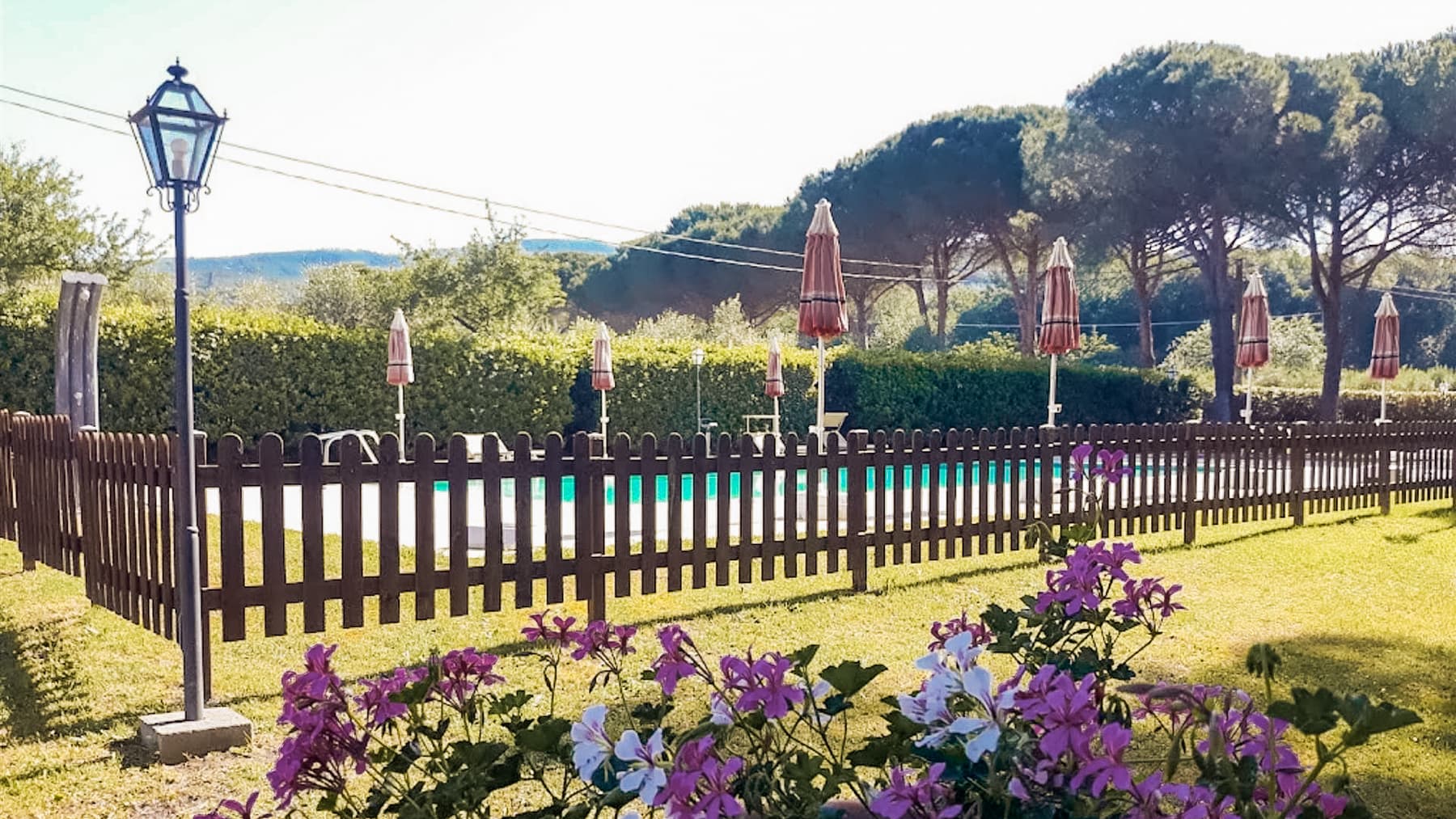 Big Image 1