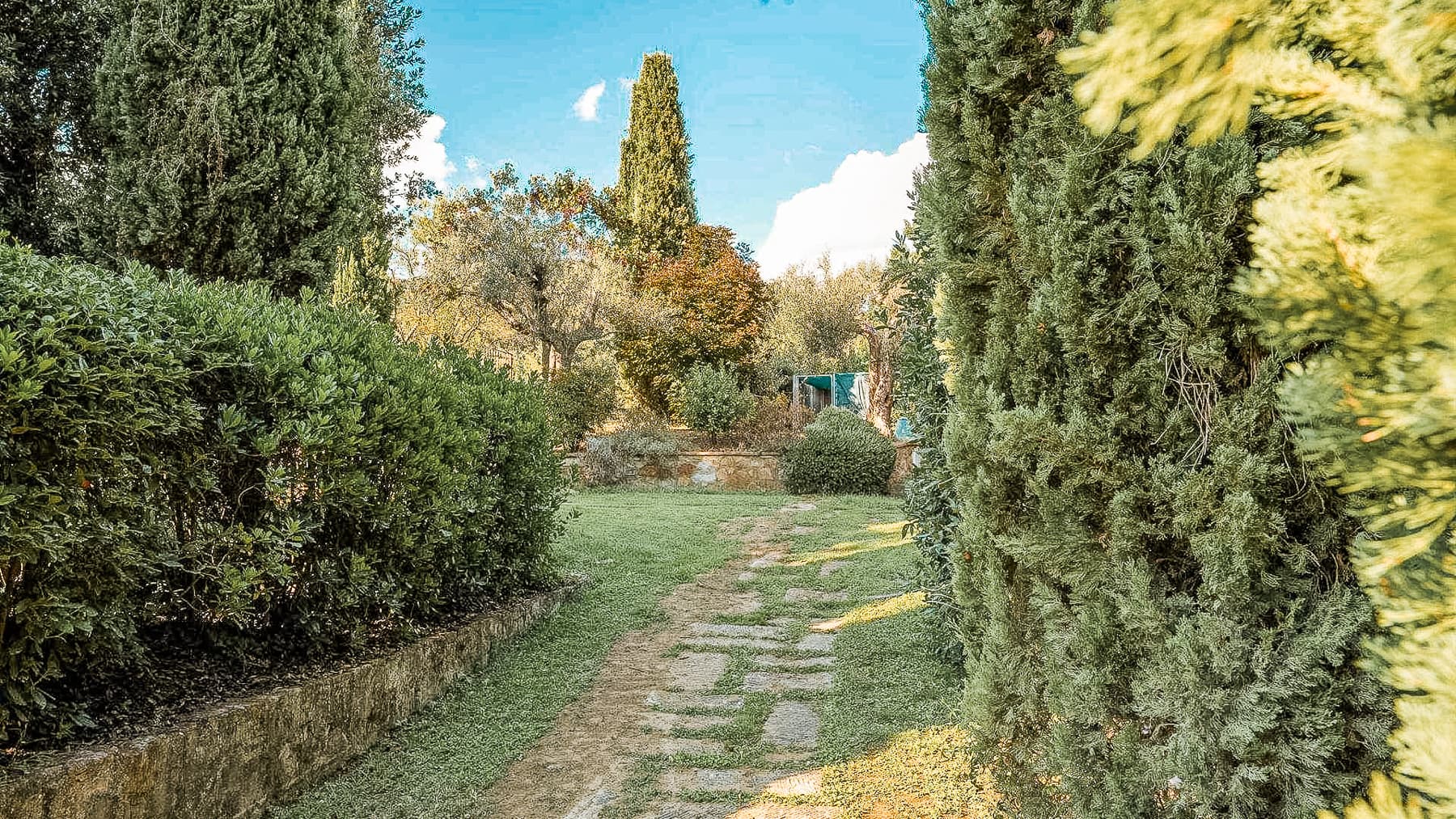 Big Image 18