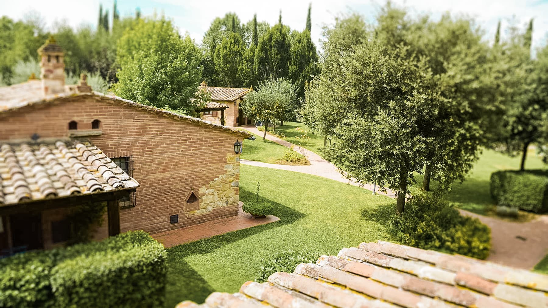 Big Image 12