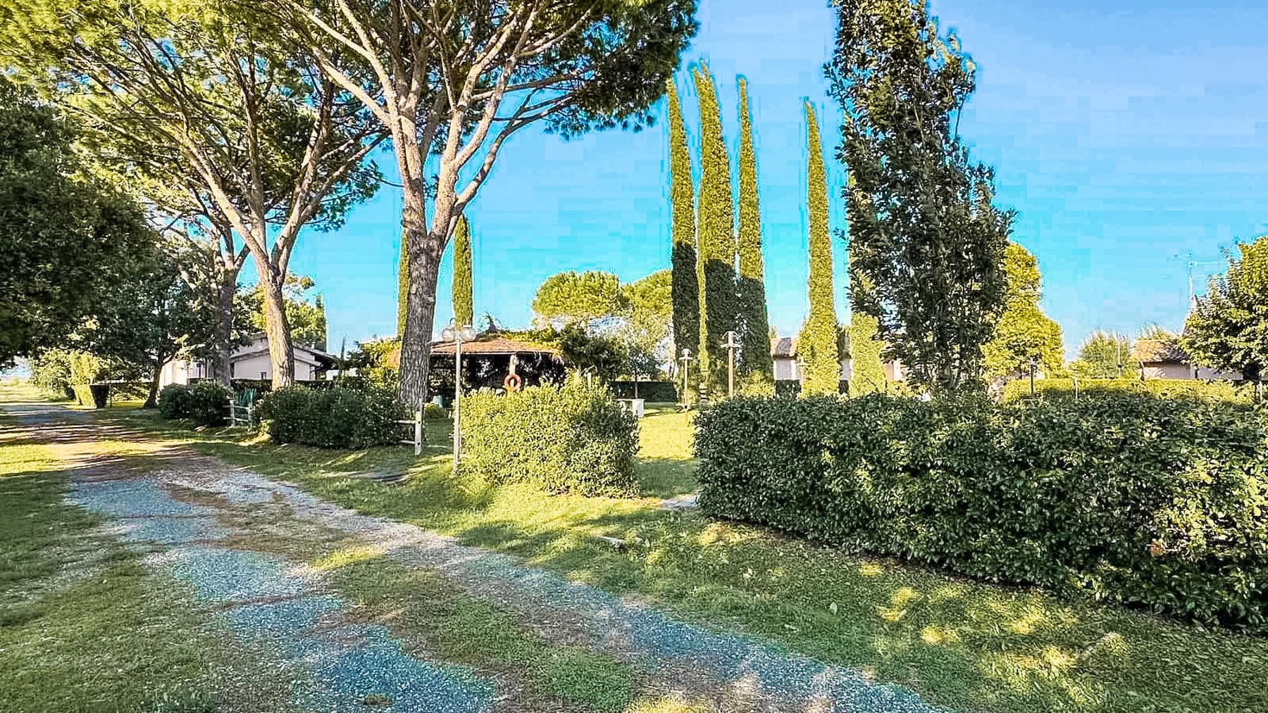 Big Image 14
