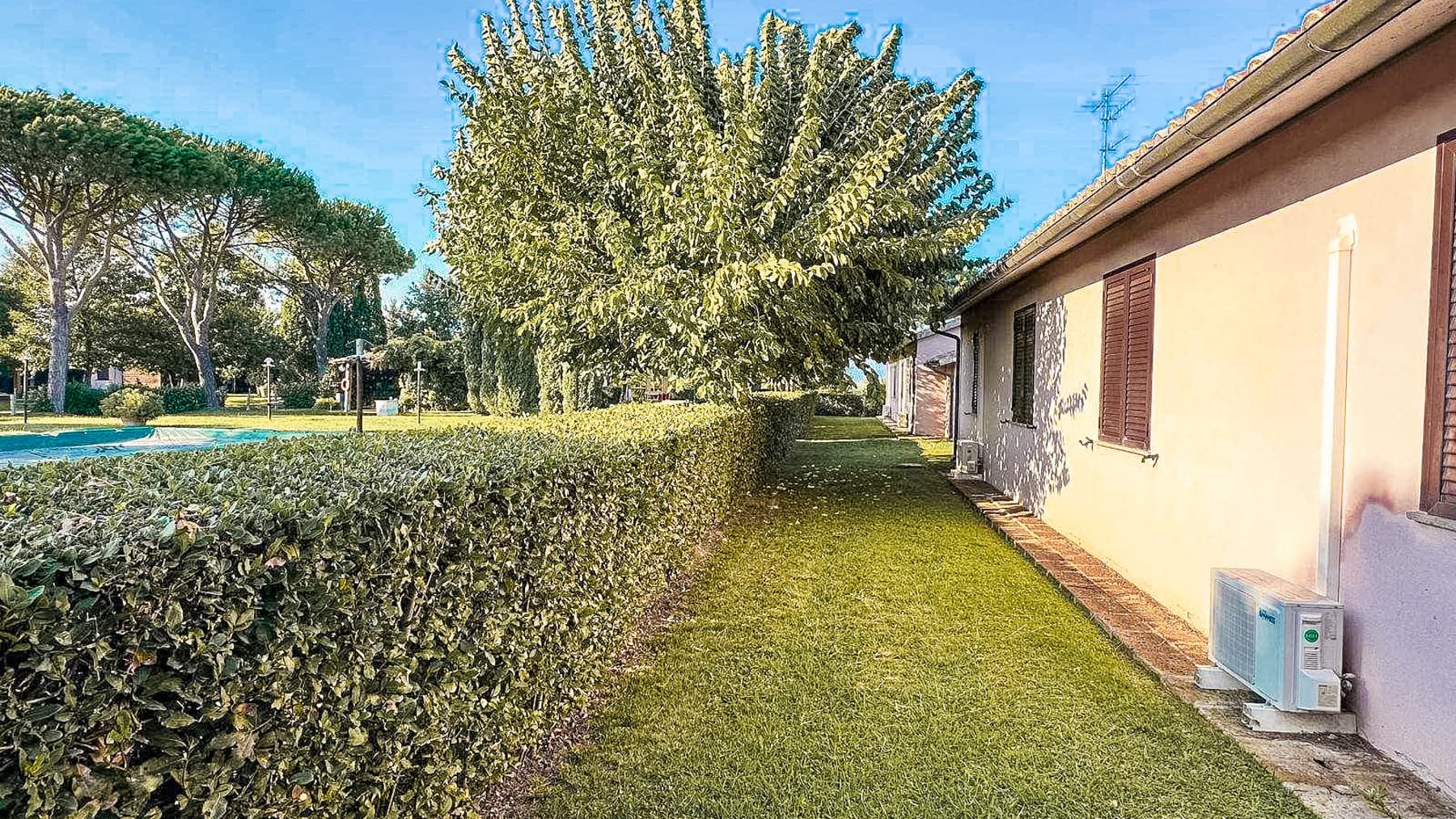 Big Image 18