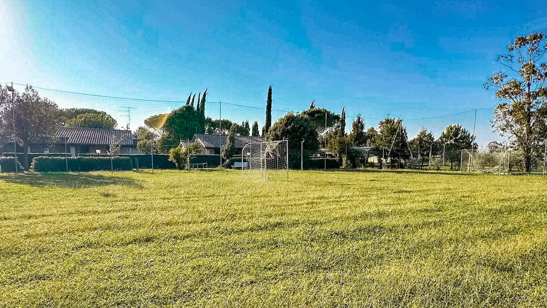 Big Image 25