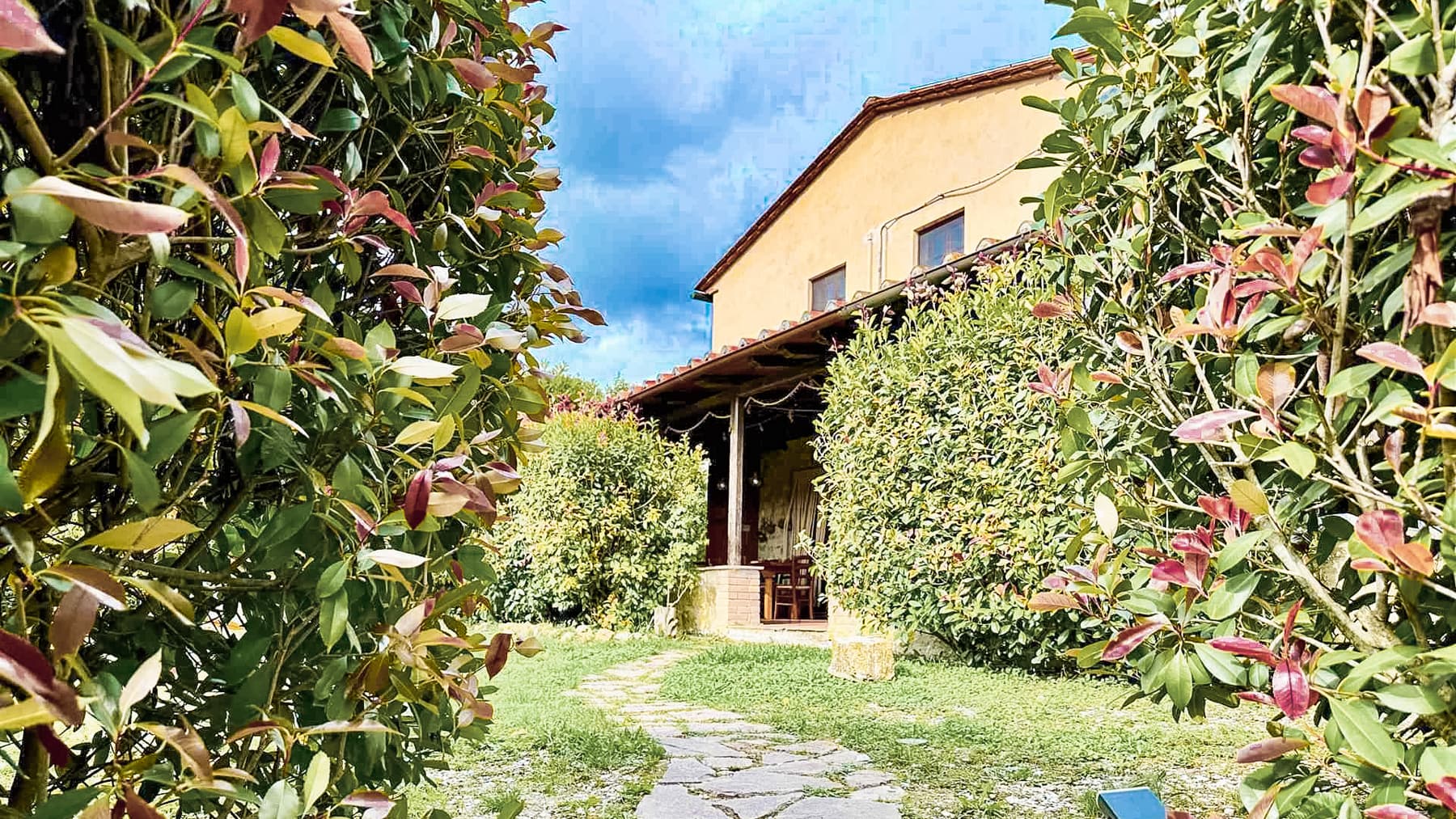 Big Image 21