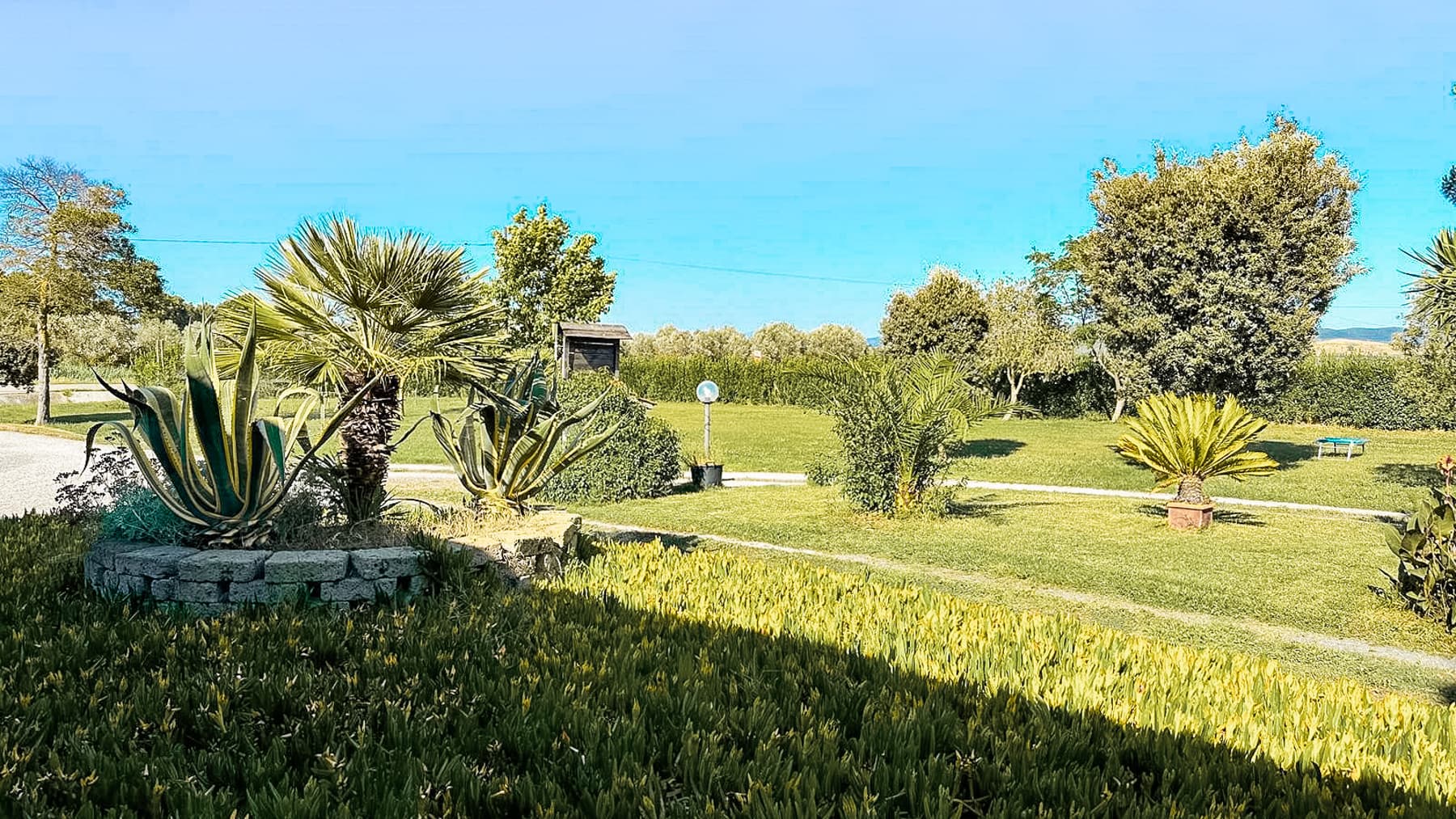 Big Image 14