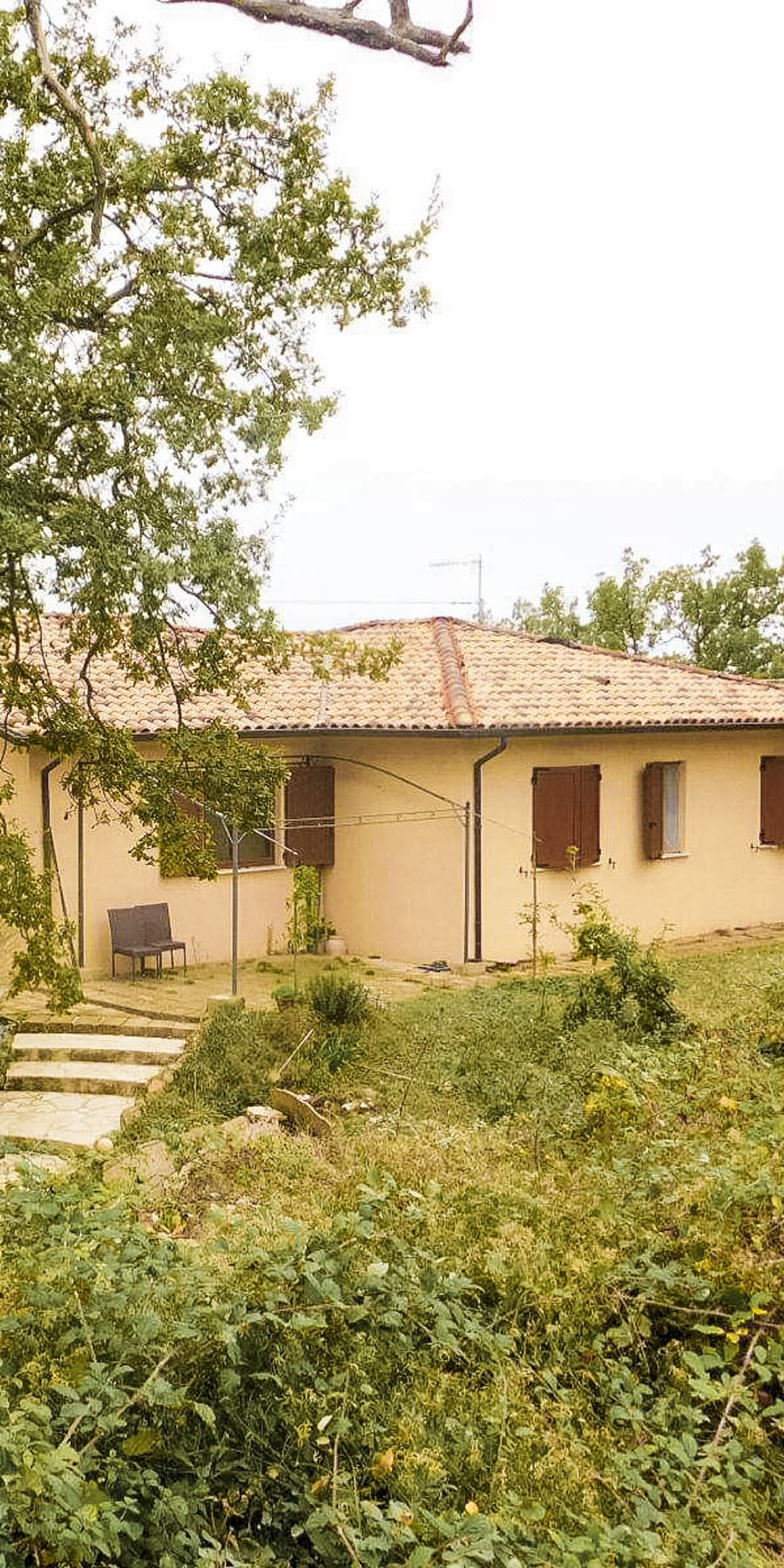 Organic Wine Farm in Manciano, Tuscany