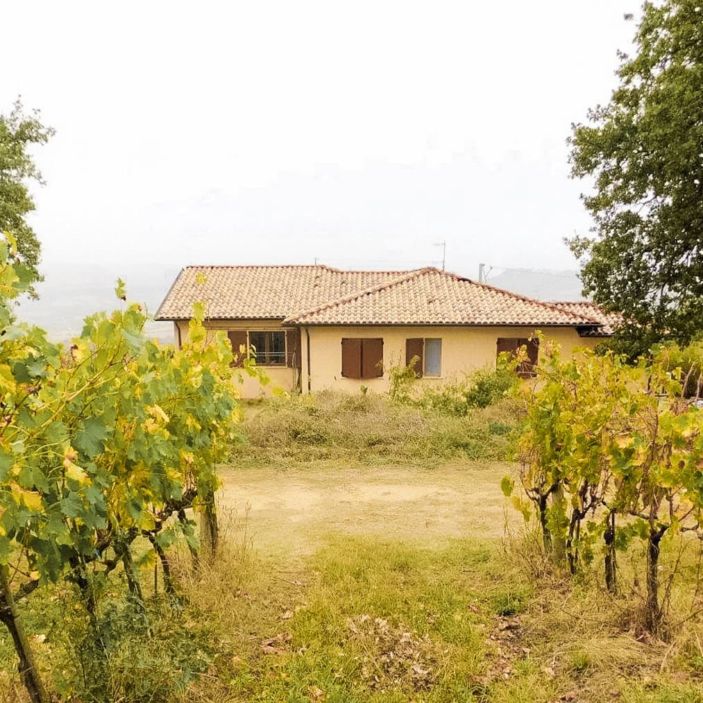 Azienda Agricola a Manciano, Toscana: Vino e Olio Bio