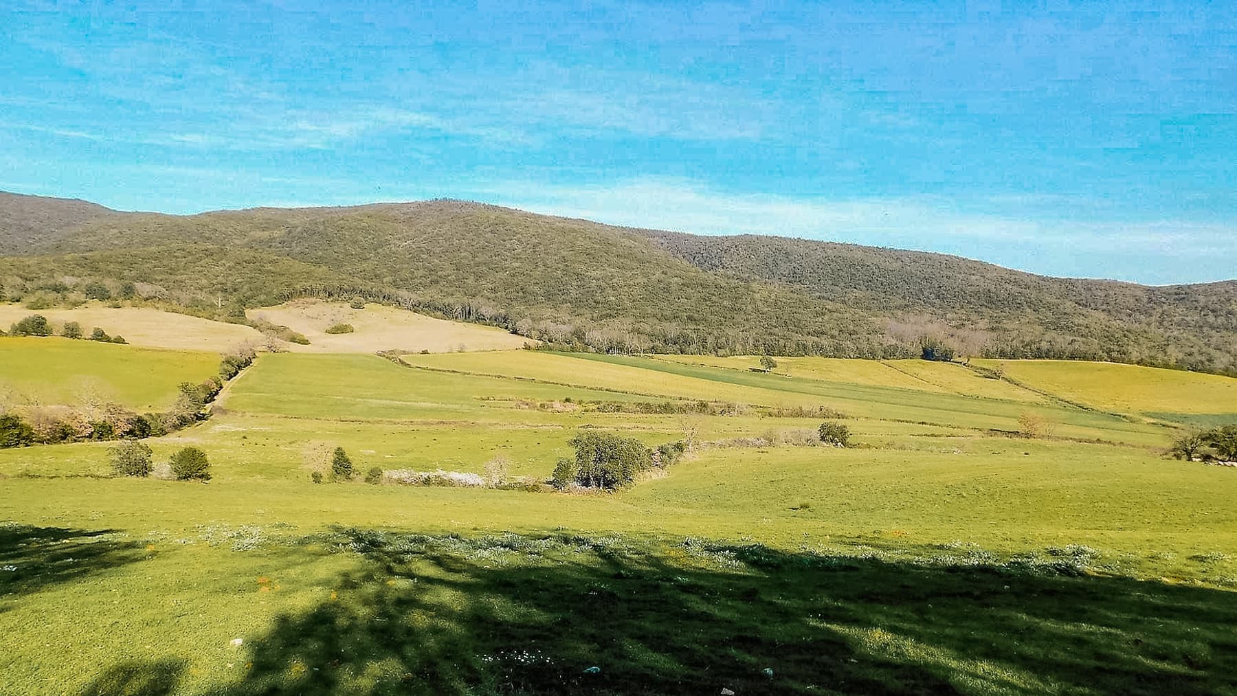 Big Image 12