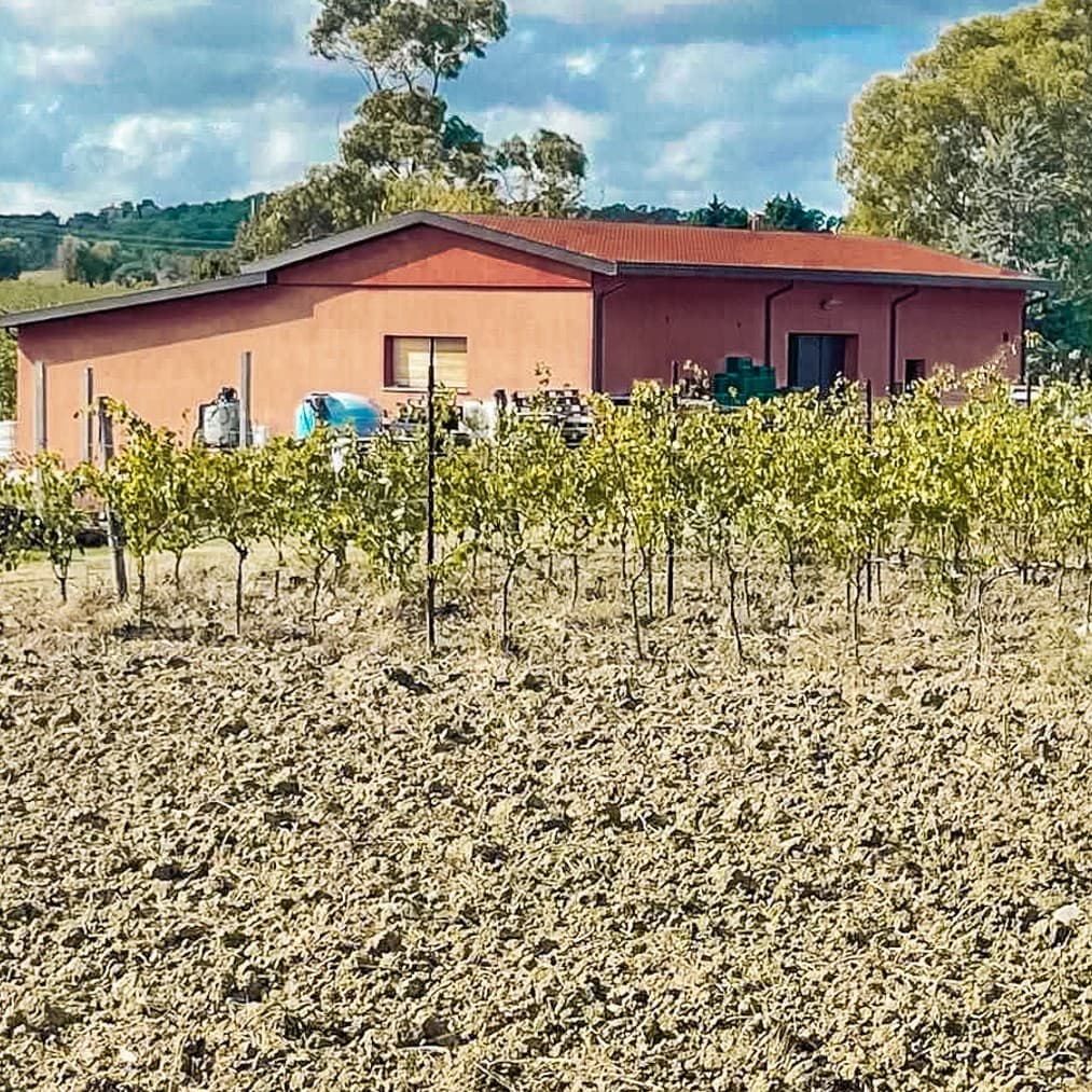 Azienda Agricola a Scansano, nel cuore della Toscana
