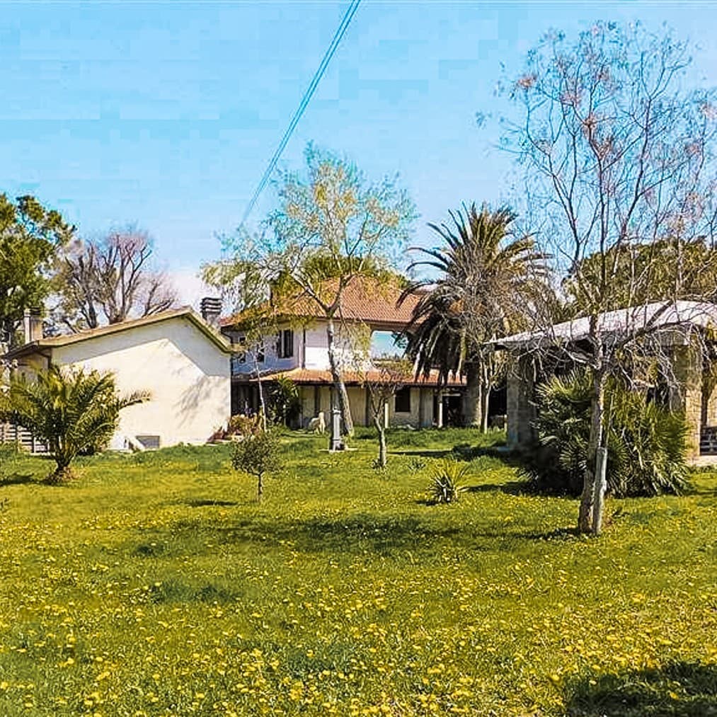 Azienda Agricola a Grosseto, Toscana, vicino al mare