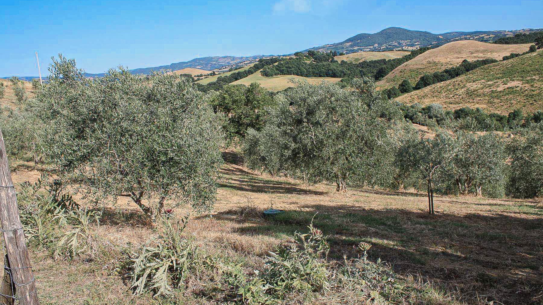Big Image 11