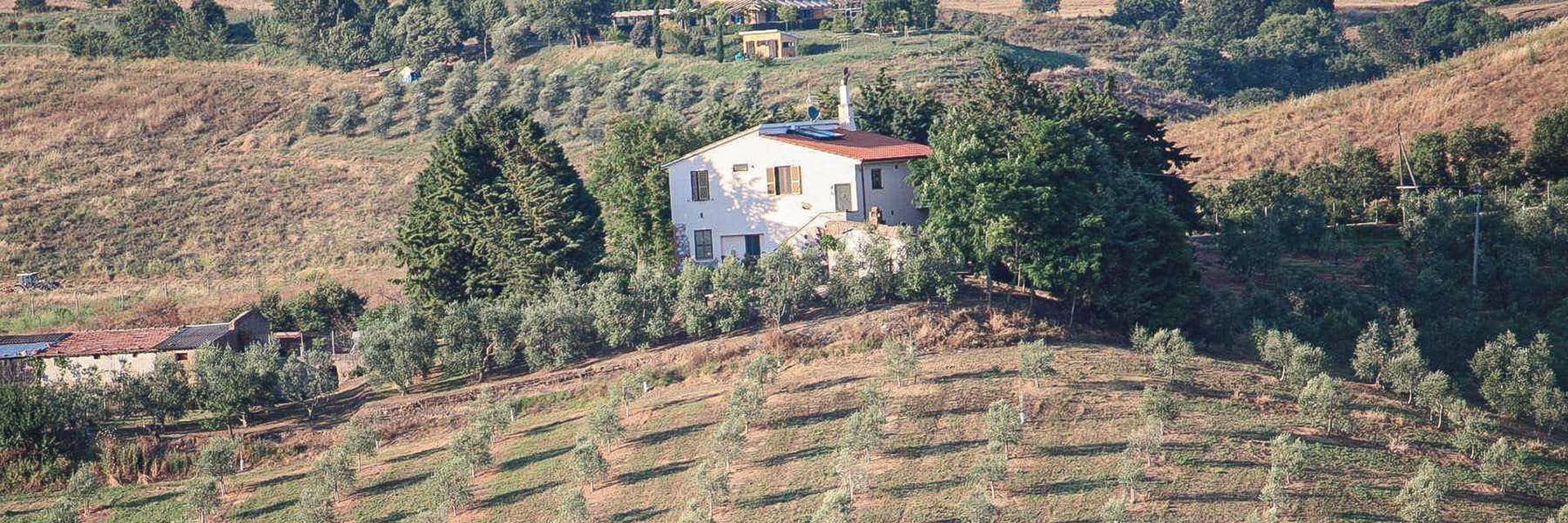 Azienda Agricola a Campagnatico, cuore della Toscana