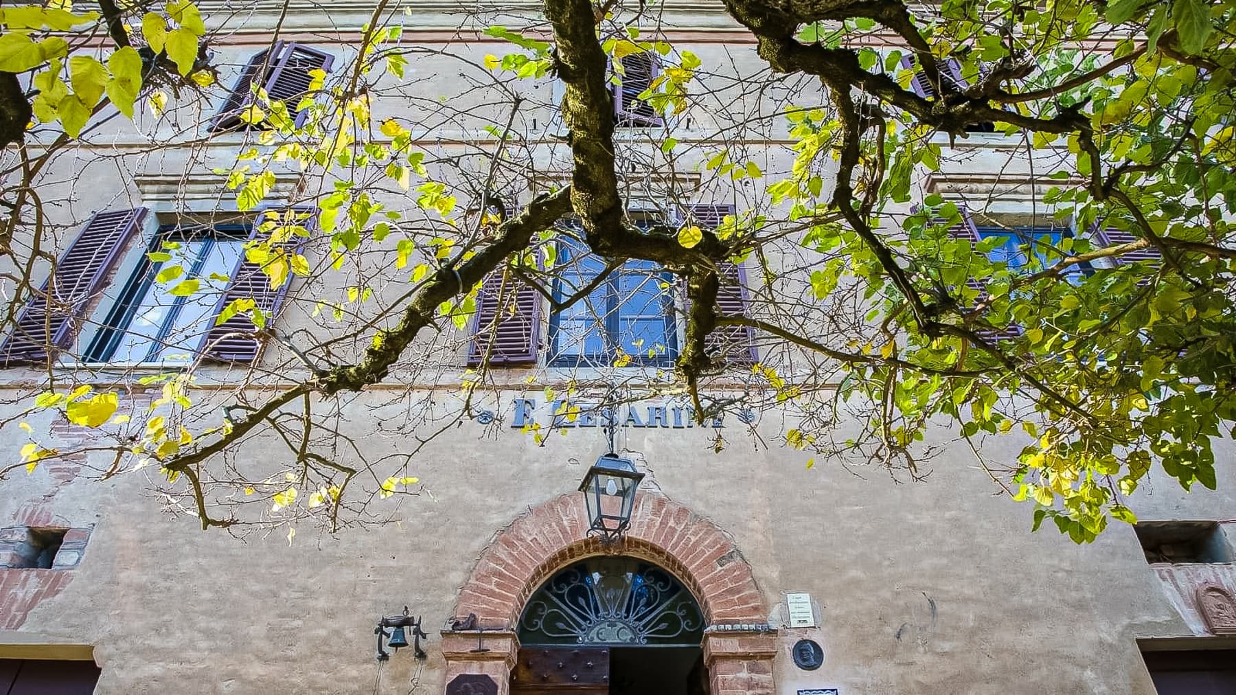 Big Image 15