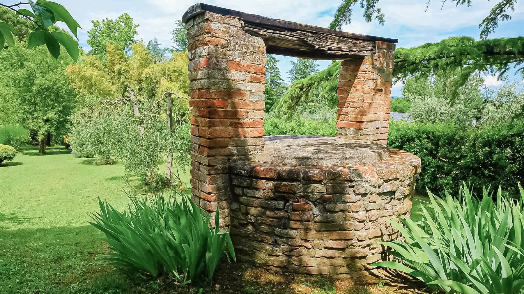 Big Image 14