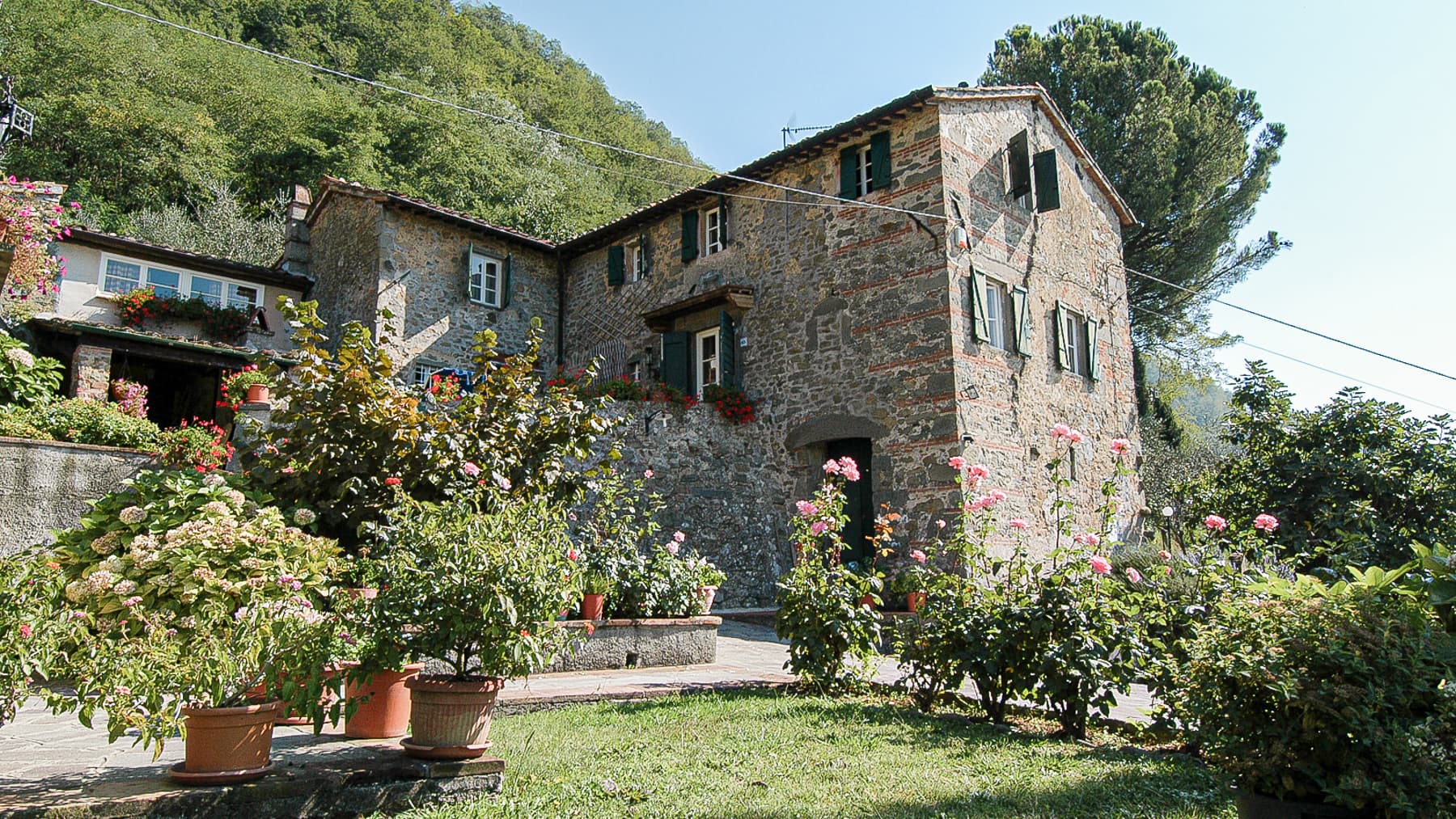 Big Image 19