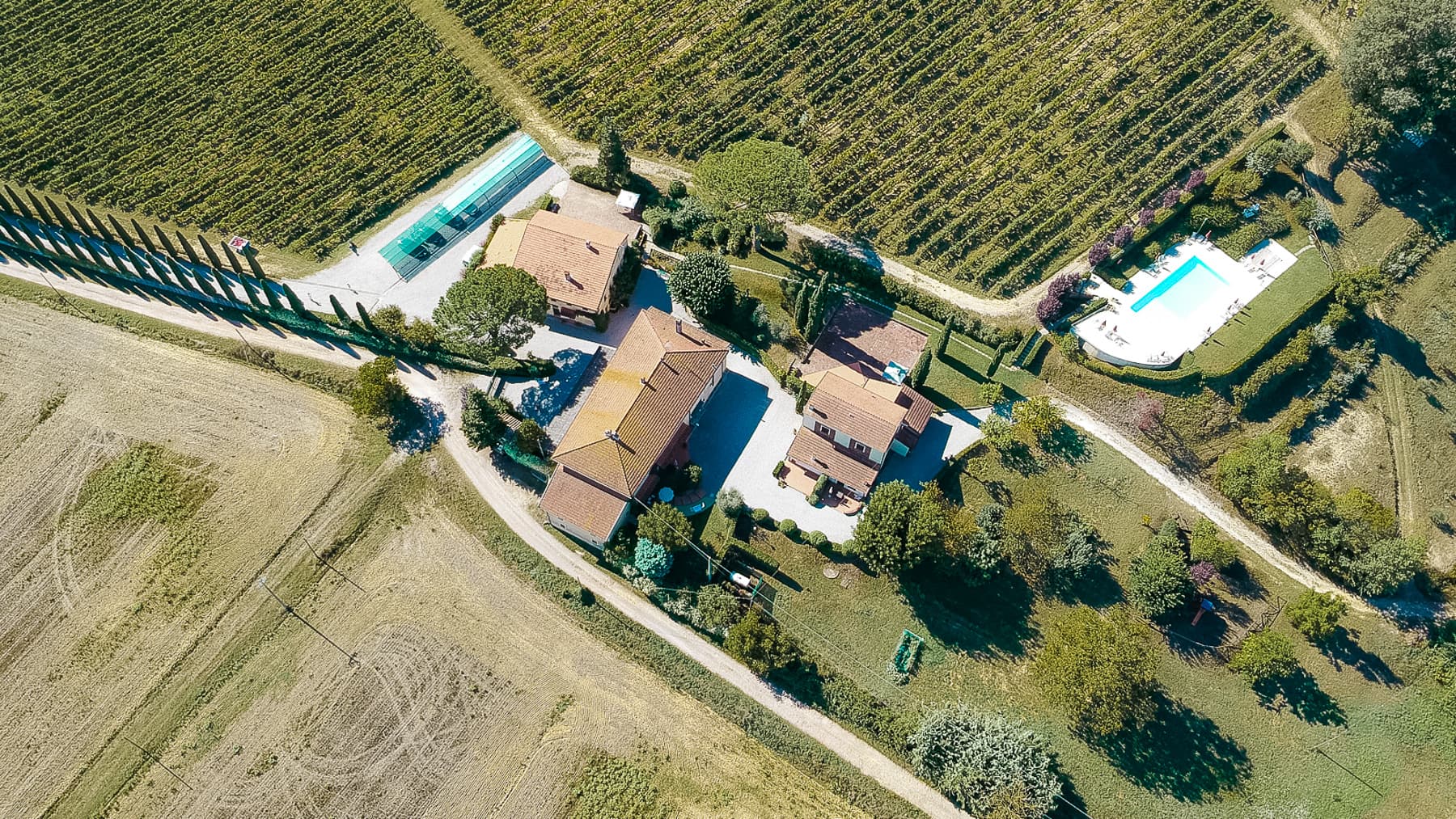 Big Image 3