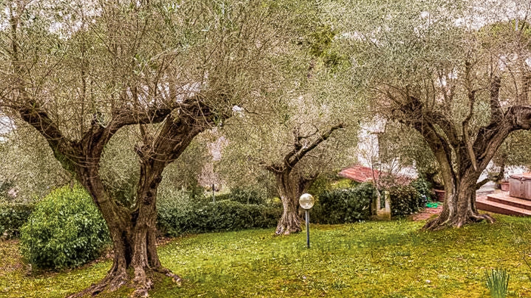 Big Image 13