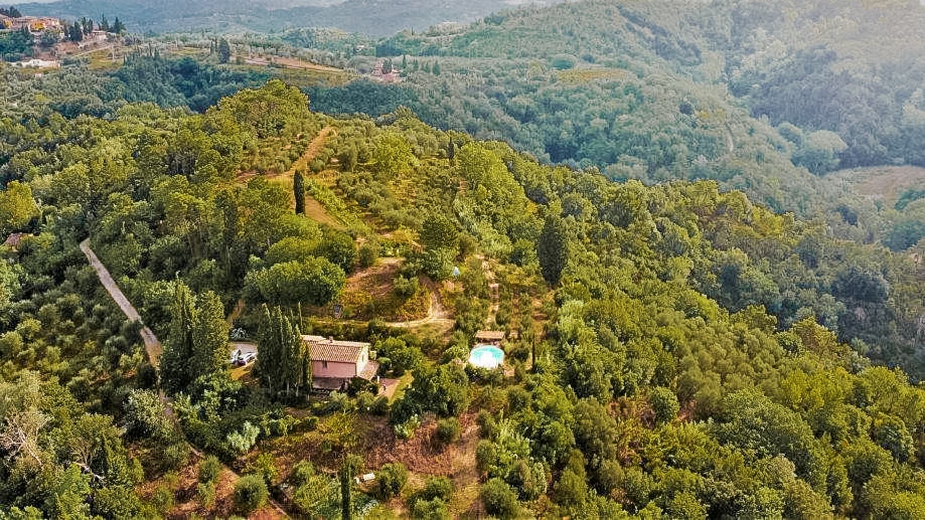 Big Image 14