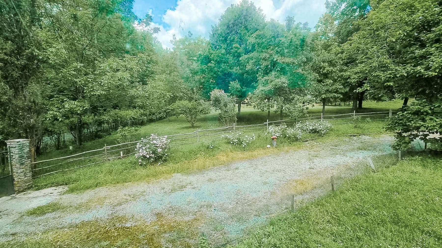 Big Image 26