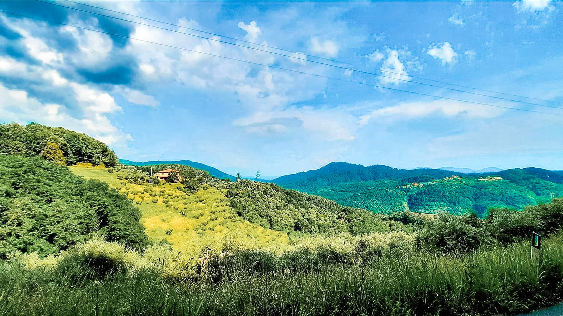 Big Image 21