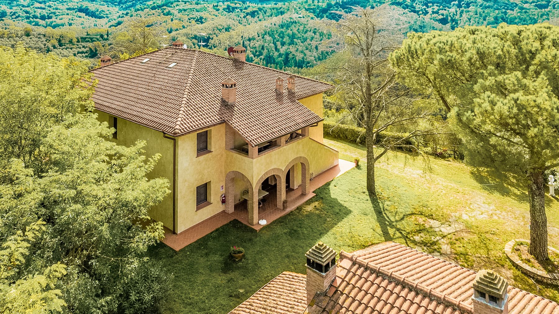 Big Image 18