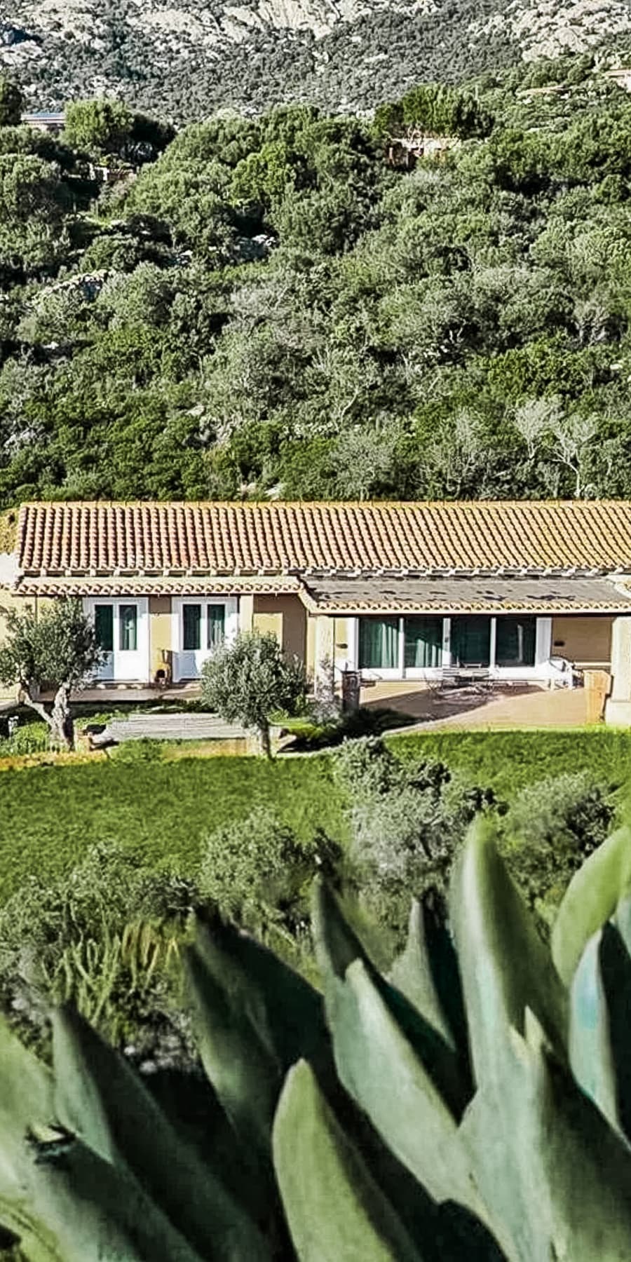 Luxury Villa with Pool in Olbia, Sardinia