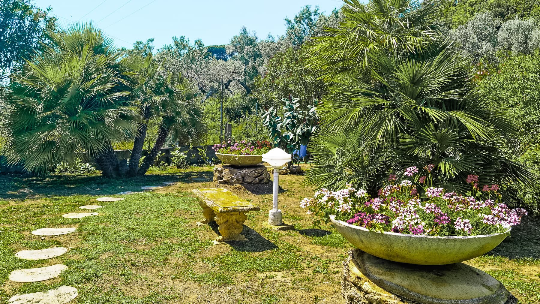 Big Image 25