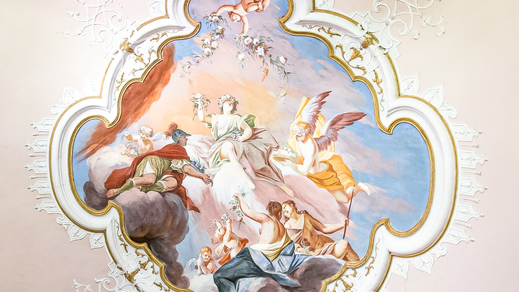 Big Image 13