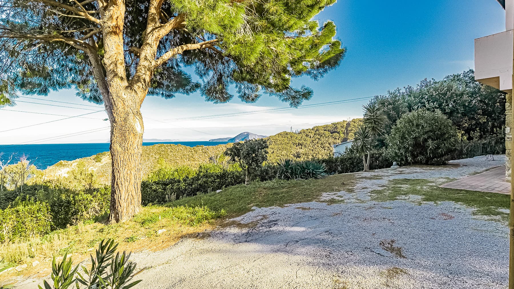 Big Image 15