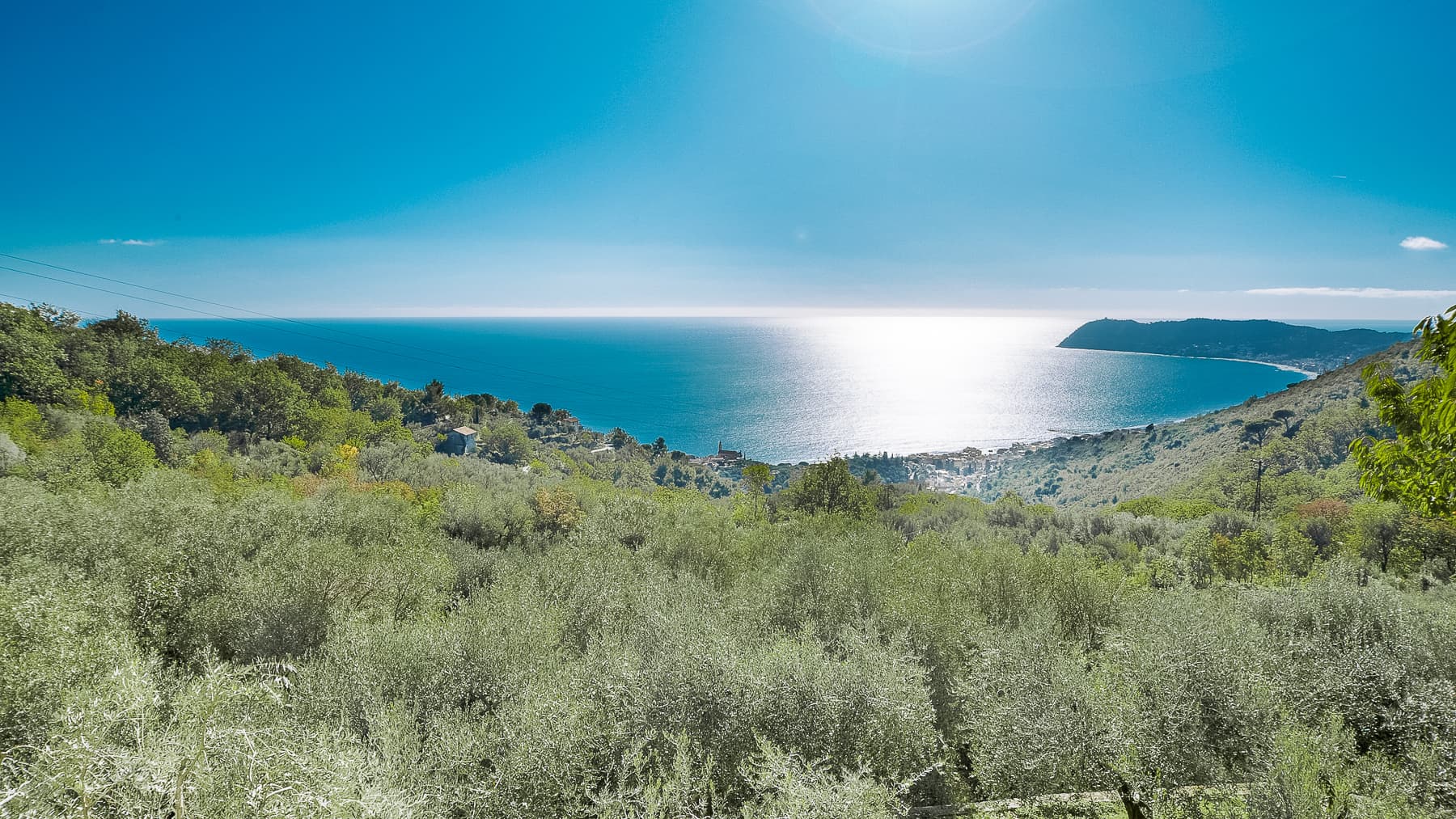 Big Image 15