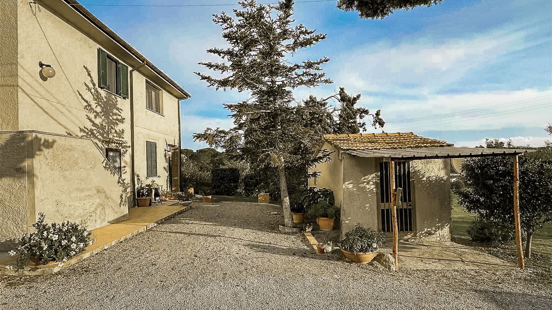 Big Image 28