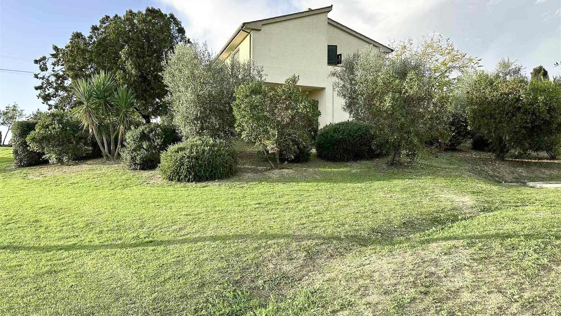 Big Image 20