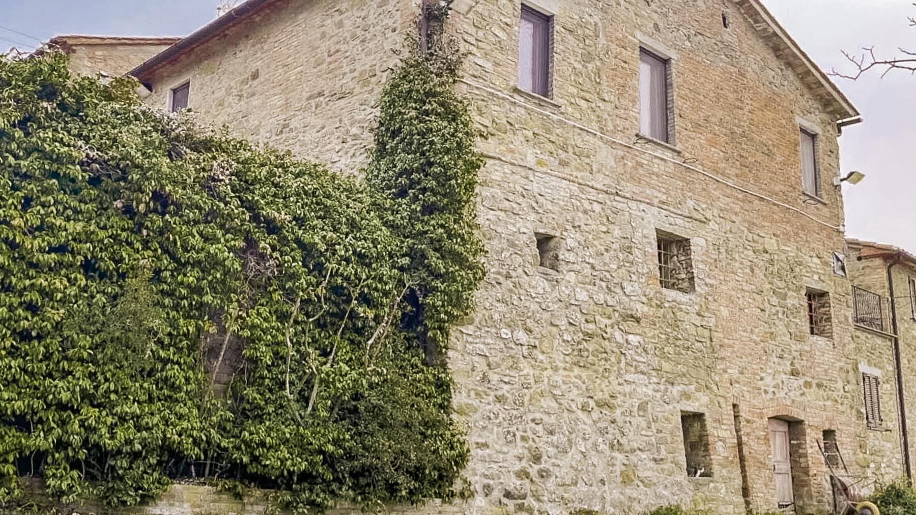 Big Image 13