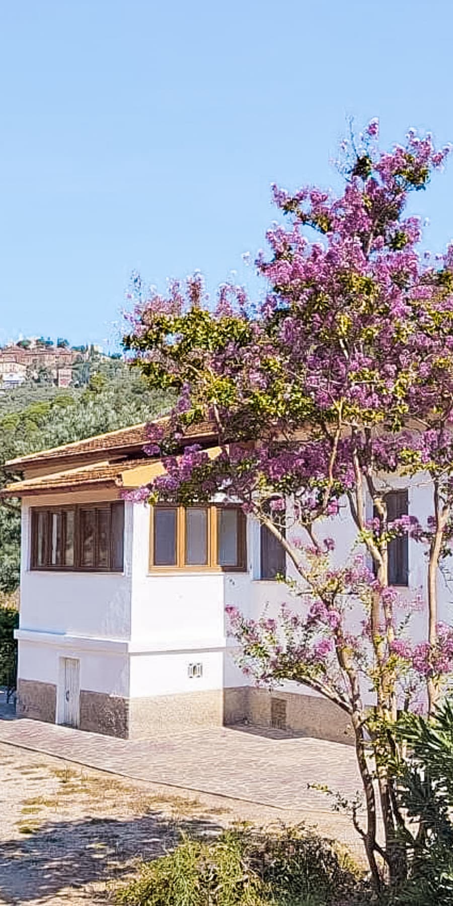 Enchanting Farm Estate in Tuscany's Campiglia Marittima