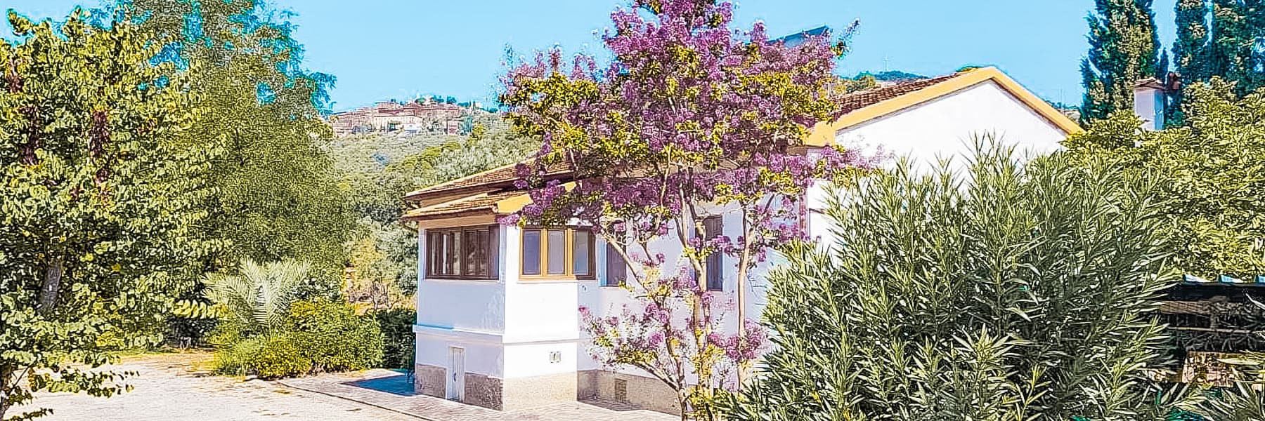 Enchanting Farm Estate in Tuscany's Campiglia Marittima