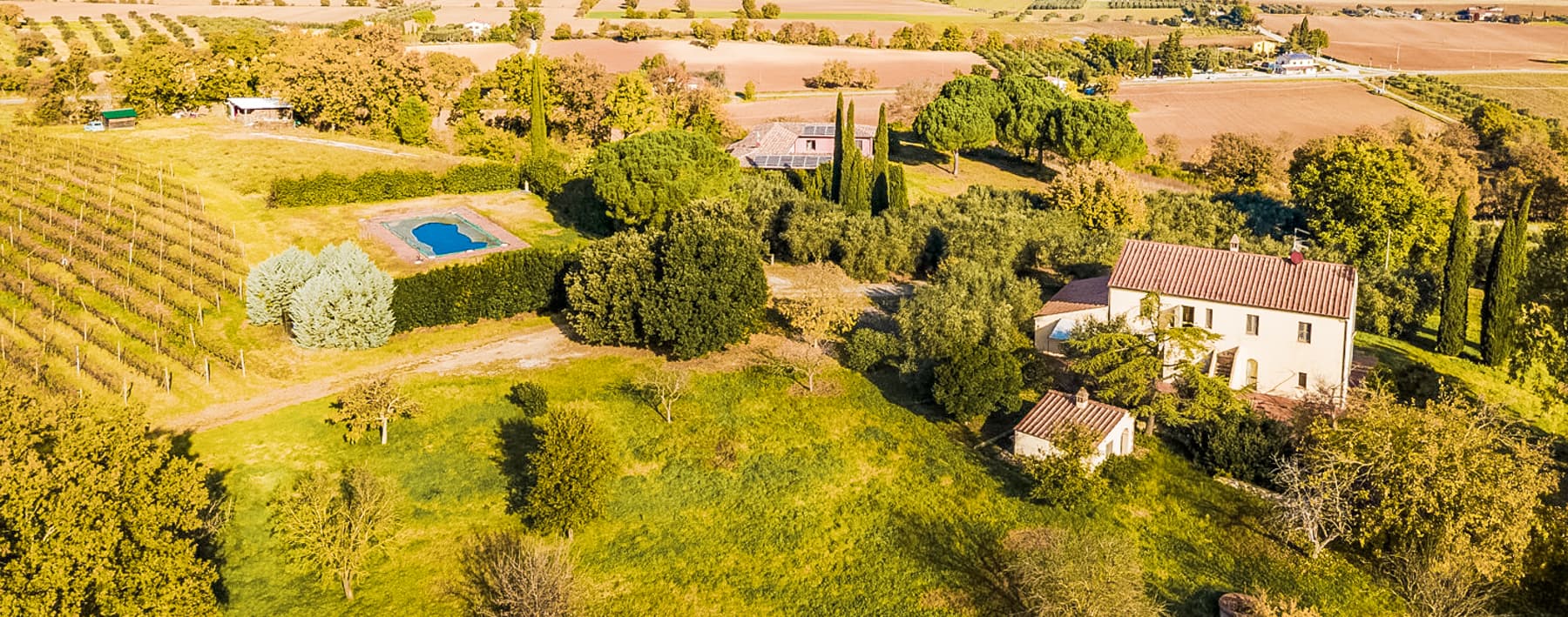 Rustic Country House in Campagnatico, Tuscany