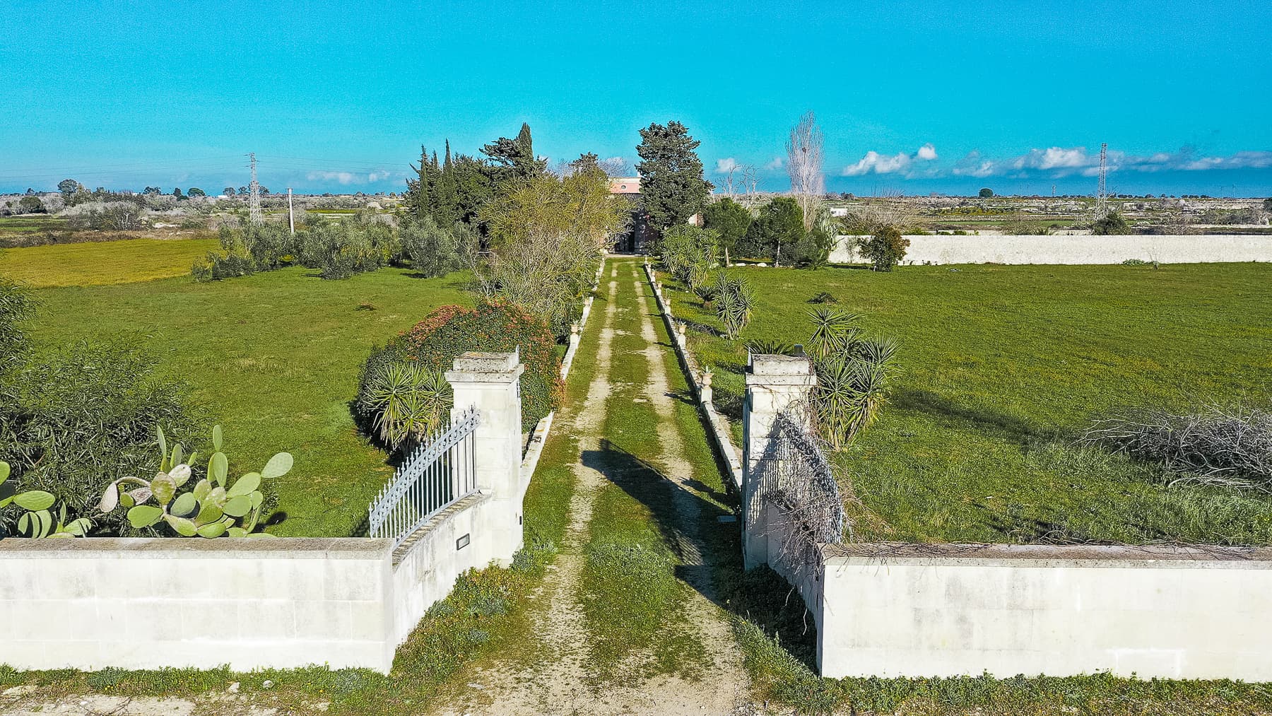 Big Image 19