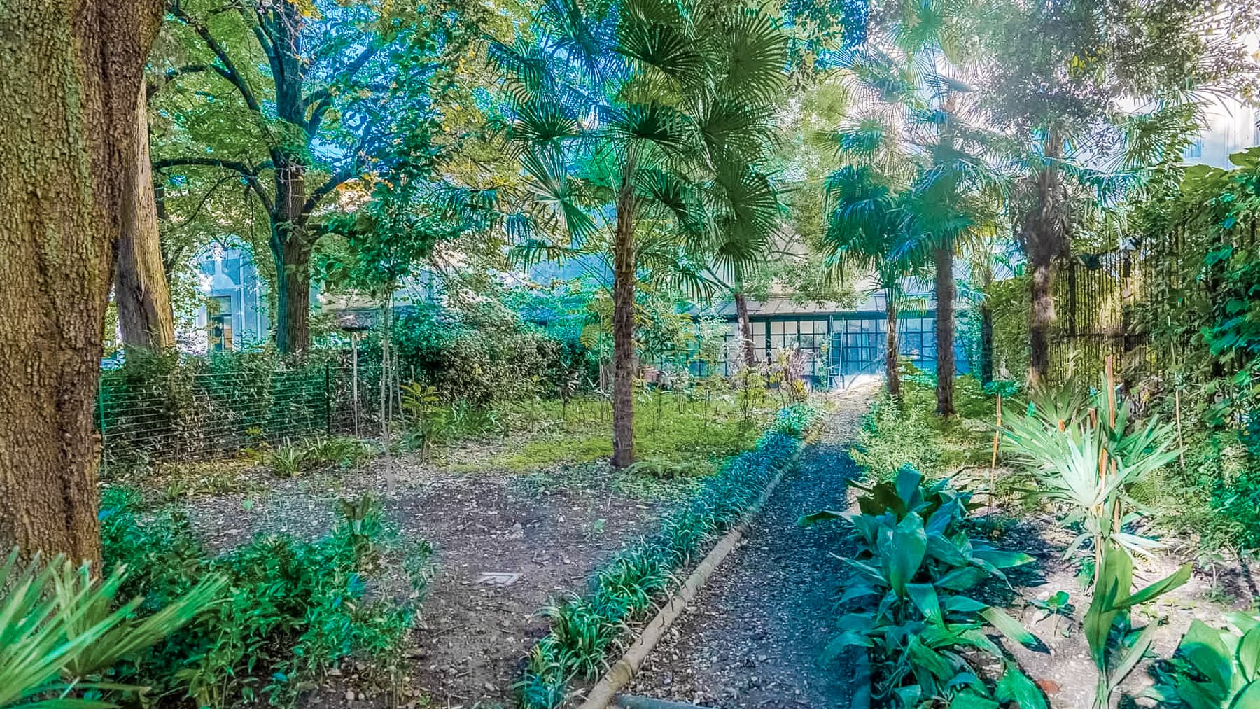 Big Image 9