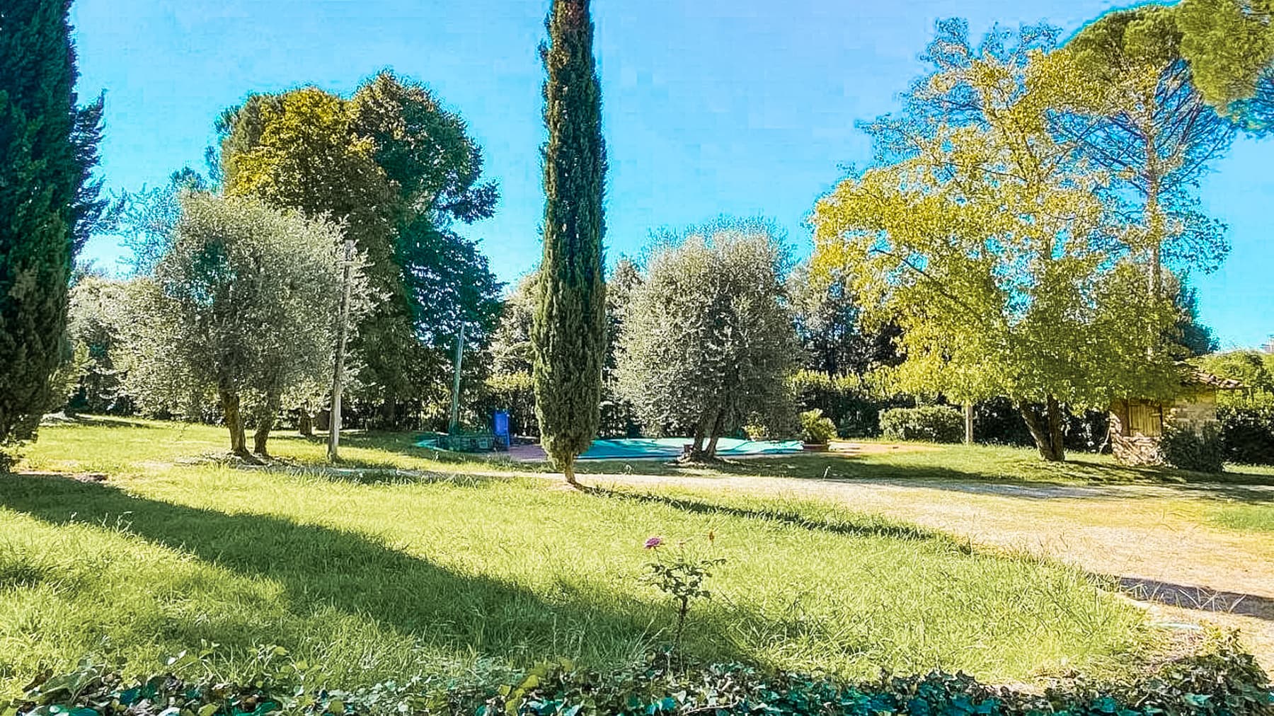 Big Image 11