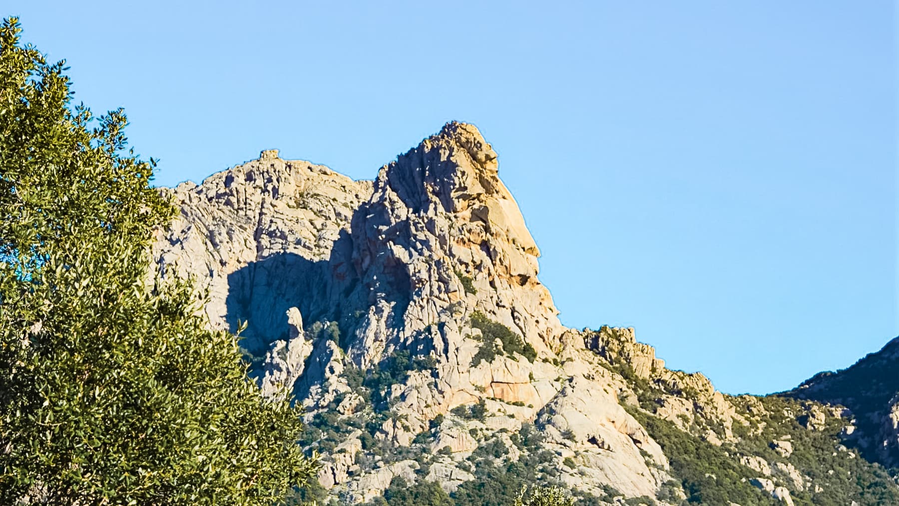 Big Image 6