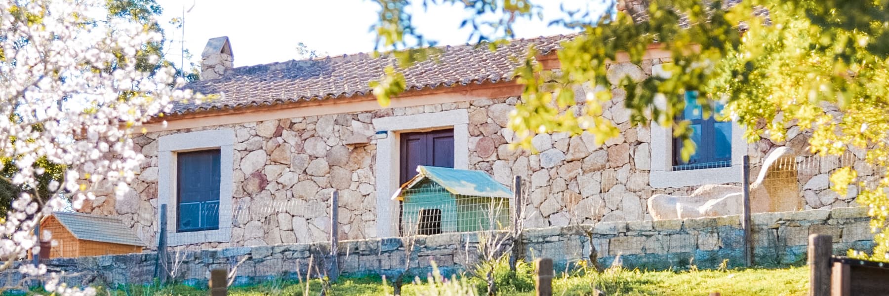Apartment in Olbia, Sardinia Near Costa Smeralda