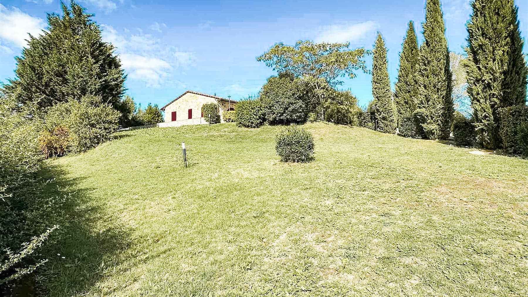 Big Image 11
