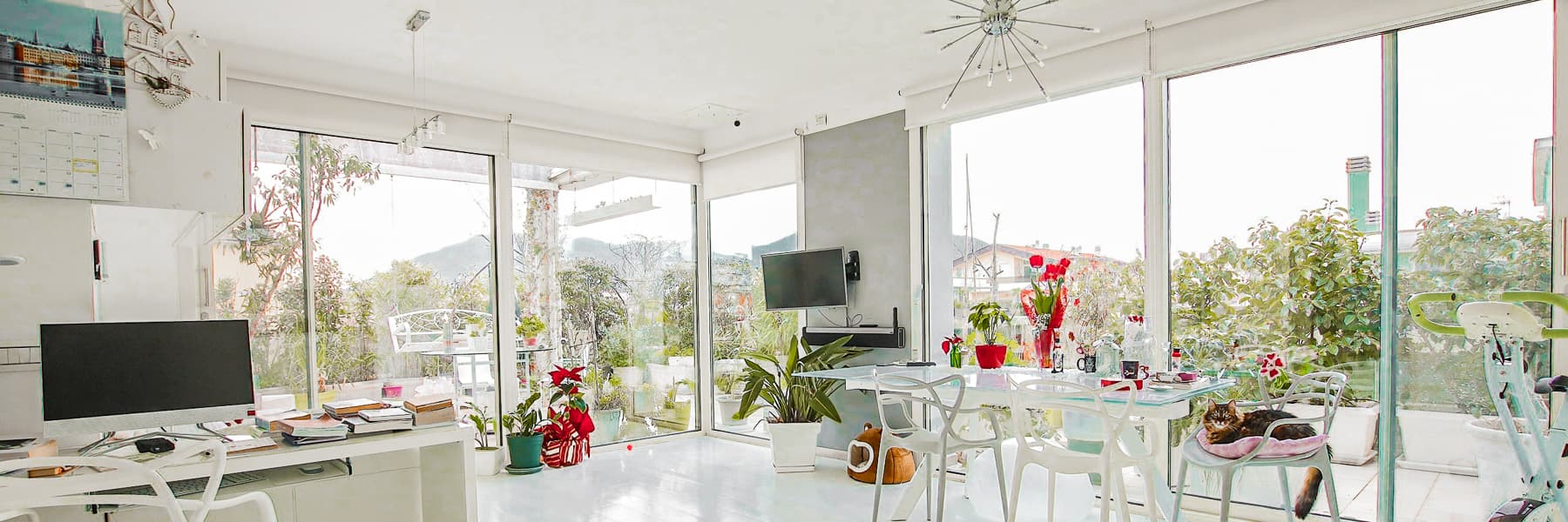 Charming Attic Loft in Lucca, Tuscany