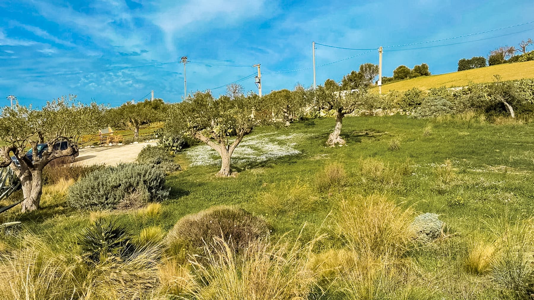 Big Image 18
