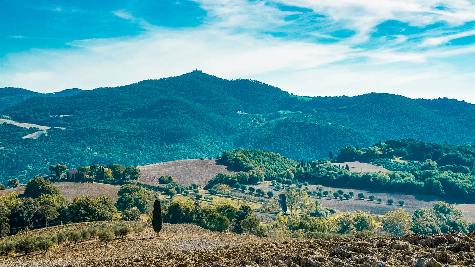 Big Image 14