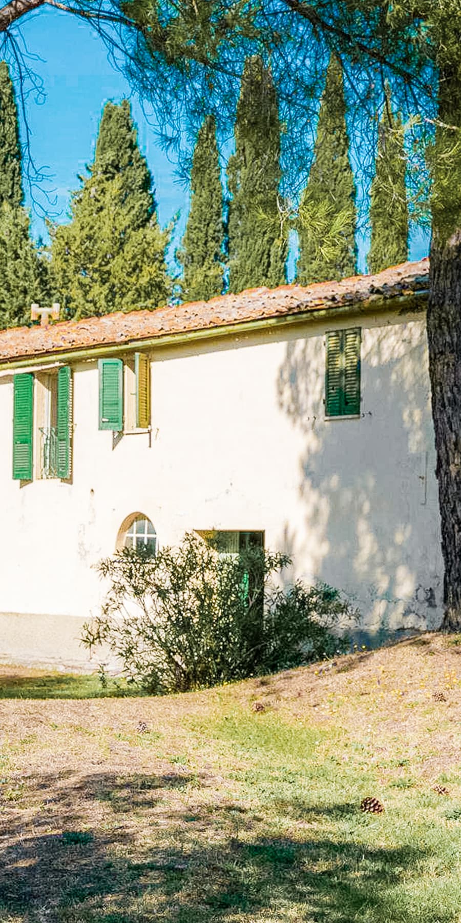 Farm in Pomarance, Tuscany - 300,850 Sq. mt.