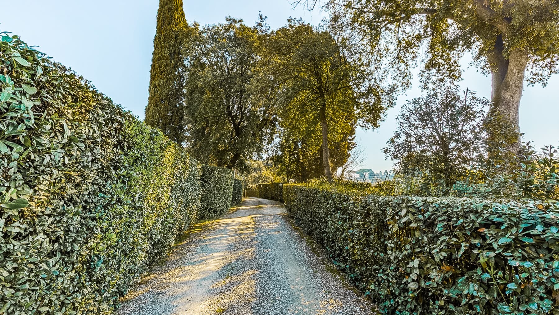 Big Image 29