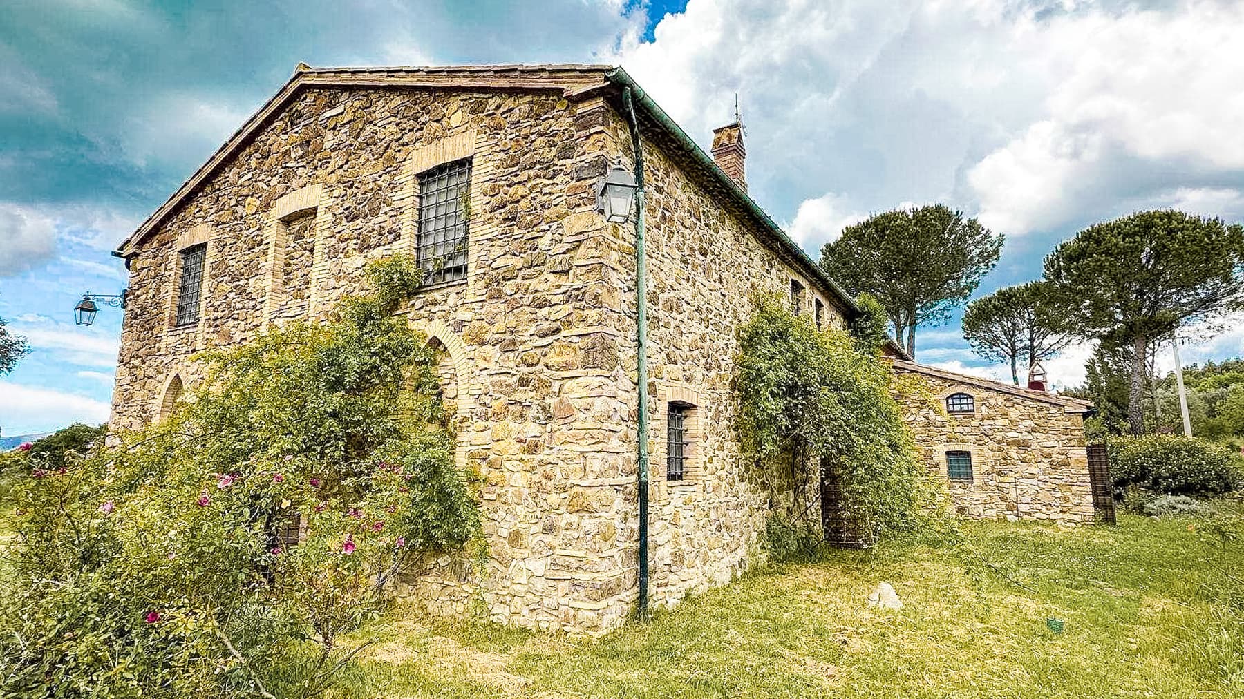 Big Image 16